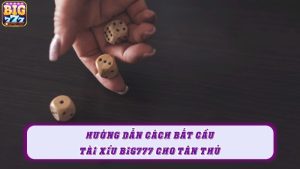 Hướng dẫn cách bắt cầu tài xỉu Big777 cho tân thủ